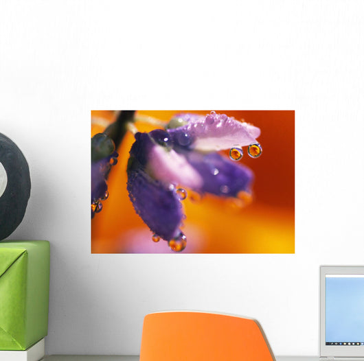 Reflection Of Flower In Dew Drops Wall Mural