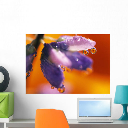 Reflection Of Flower In Dew Drops Wall Mural