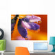 Reflection Of Flower In Dew Drops Wall Mural