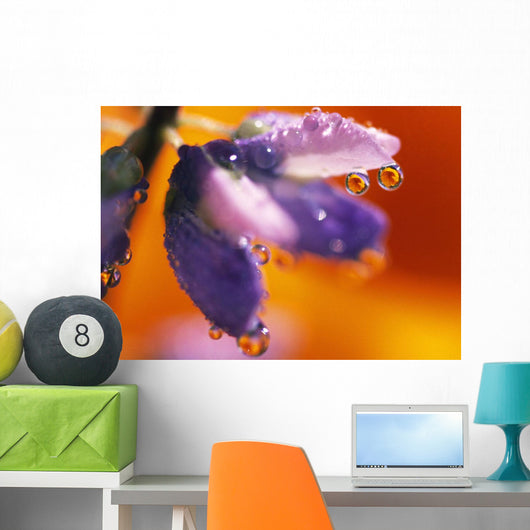 Reflection Of Flower In Dew Drops Wall Mural