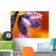 Reflection Of Flower In Dew Drops Wall Mural