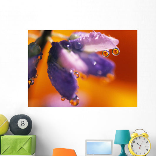 Reflection Of Flower In Dew Drops Wall Mural