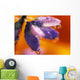 Reflection Of Flower In Dew Drops Wall Mural