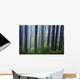 Trees In Fog Wall Mural