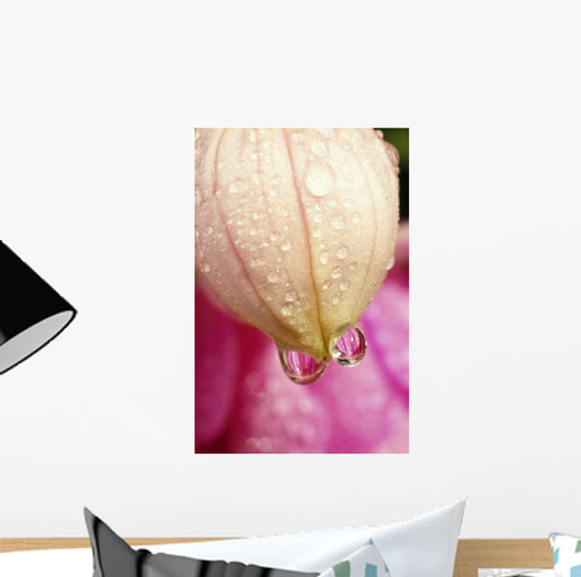 Flower With Dewdrops Wall Mural
