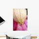Flower With Dewdrops Wall Mural