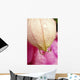 Flower With Dewdrops Wall Mural