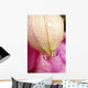 Flower With Dewdrops Wall Mural