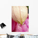 Flower With Dewdrops Wall Mural