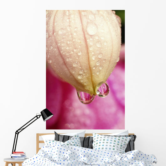 Flower With Dewdrops Wall Mural