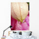 Flower With Dewdrops Wall Mural