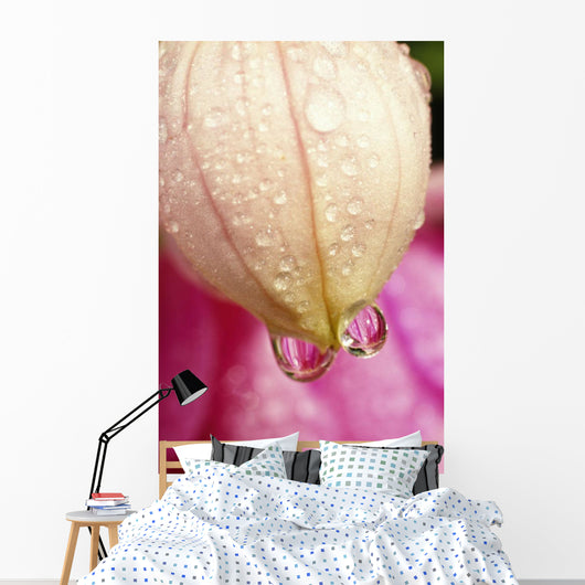 Flower With Dewdrops Wall Mural
