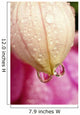 Flower With Dewdrops Wall Mural