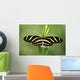 Butterfly Wall Mural