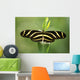 Butterfly Wall Mural