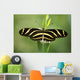Butterfly Wall Mural