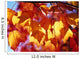 Autumn Leaves Wall Mural