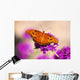 Orange Butterfly Wall Mural