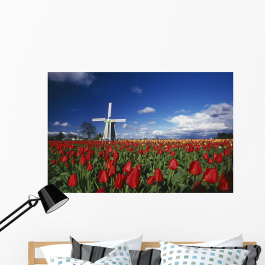 Tulip Field And Windmill Wall Mural