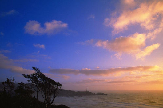 Oregon Coast, Usa Wall Mural