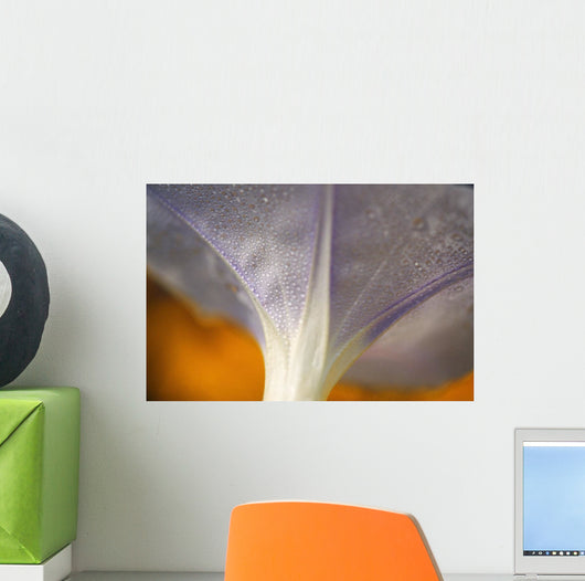 Underside Of A Flower Blossom With Dew Wall Mural