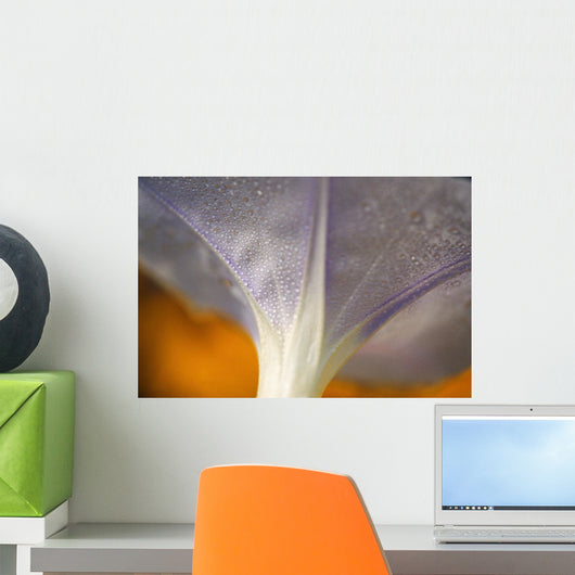 Underside Of A Flower Blossom With Dew Wall Mural