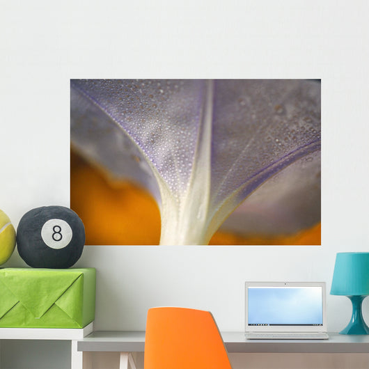 Underside Of A Flower Blossom With Dew Wall Mural