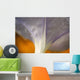 Underside Of A Flower Blossom With Dew Wall Mural