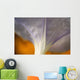 Underside Of A Flower Blossom With Dew Wall Mural