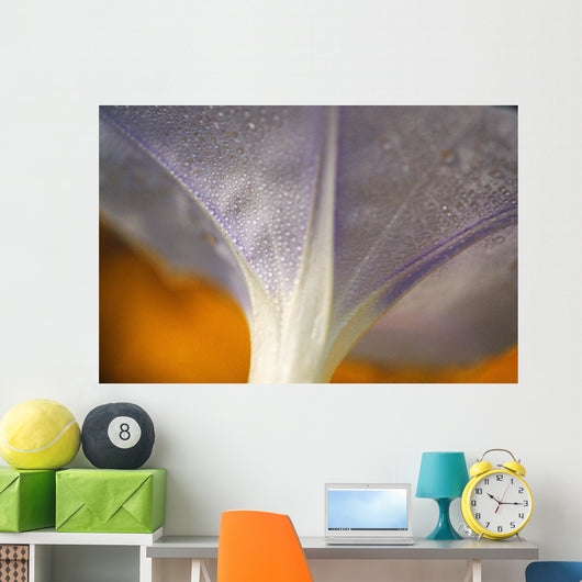 Underside Of A Flower Blossom With Dew Wall Mural