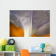 Underside Of A Flower Blossom With Dew Wall Mural