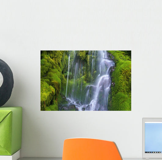 Waterfall Over Moss-Covered Rocks Wall Mural