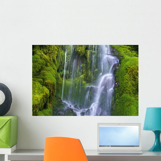 Waterfall Over Moss-Covered Rocks Wall Mural
