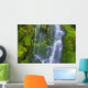 Waterfall Over Moss-Covered Rocks Wall Mural