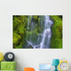 Waterfall Over Moss-Covered Rocks Wall Mural