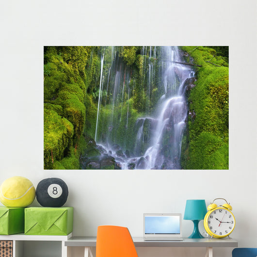 Waterfall Over Moss-Covered Rocks Wall Mural