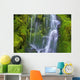 Waterfall Over Moss-Covered Rocks Wall Mural