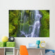 Waterfall Over Moss-Covered Rocks Wall Mural