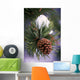 Early Snow On Pine Tree Branch With Pinecone Wall Mural