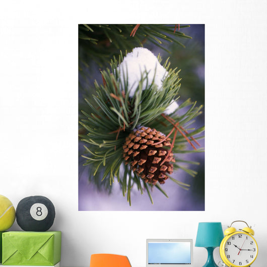 Early Snow On Pine Tree Branch With Pinecone Wall Mural