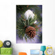 Early Snow On Pine Tree Branch With Pinecone Wall Mural