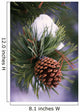 Early Snow On Pine Tree Branch With Pinecone Wall Mural