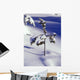 Heavy Snow On Young Pine Tree Wall Mural