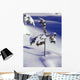 Heavy Snow On Young Pine Tree Wall Mural