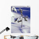 Heavy Snow On Young Pine Tree Wall Mural