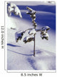 Heavy Snow On Young Pine Tree Wall Mural