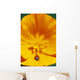 Ladybug On Poppy Flower Petal Wall Mural