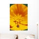 Ladybug On Poppy Flower Petal Wall Mural