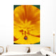 Ladybug On Poppy Flower Petal Wall Mural