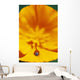 Ladybug On Poppy Flower Petal Wall Mural